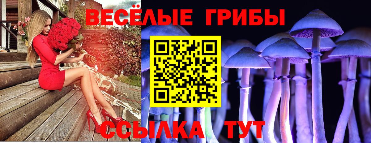 купить   Вход с VPN  Коряжма  Галлюциногенные грибы прущие грибы  Галлюциногенные грибы Cubensis 